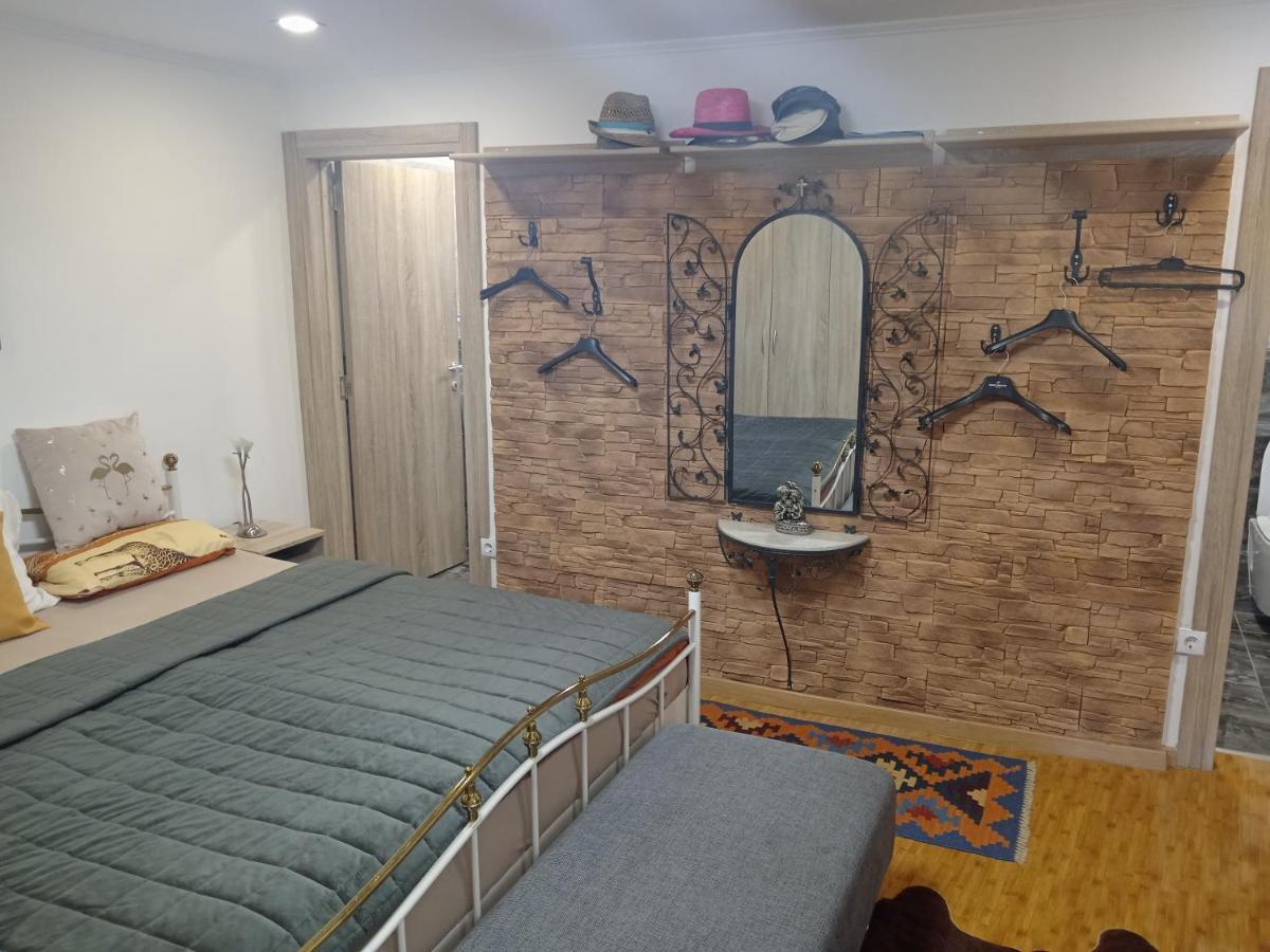 Apartman Speranza ロヴィニ エクステリア 写真